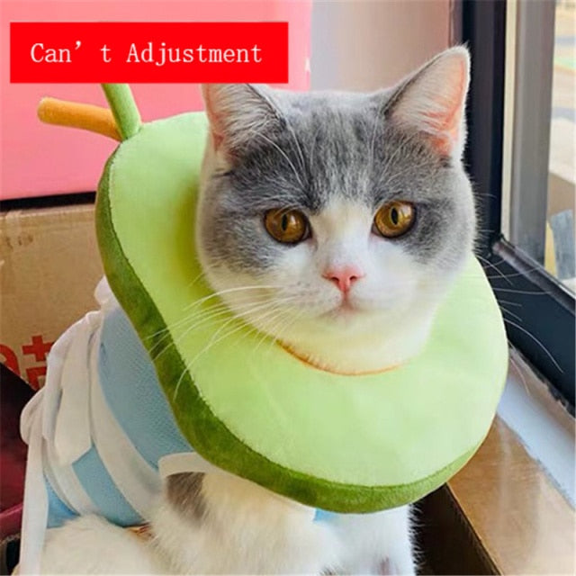 Food Shaped Pet Collar