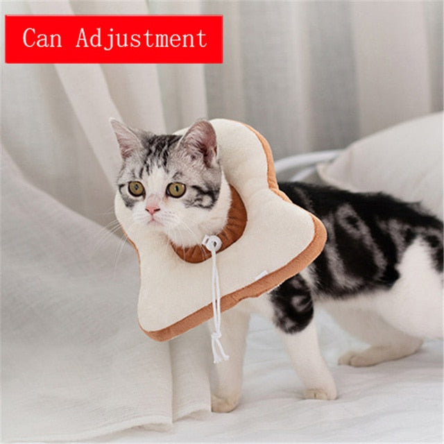 Food Shaped Pet Collar
