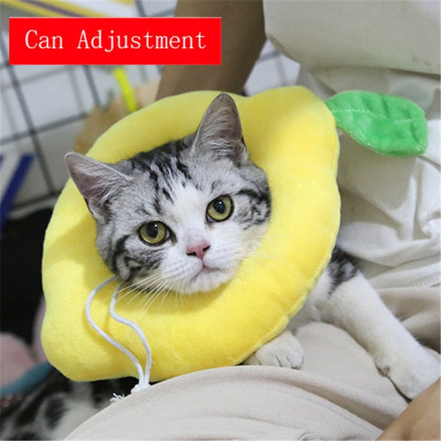 Food Shaped Pet Collar
