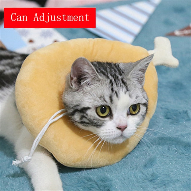 Food Shaped Pet Collar