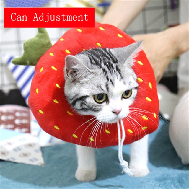 Food Shaped Pet Collar