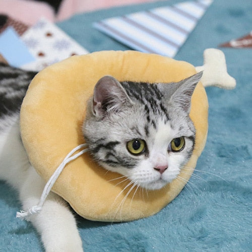 Food Shaped Pet Collar