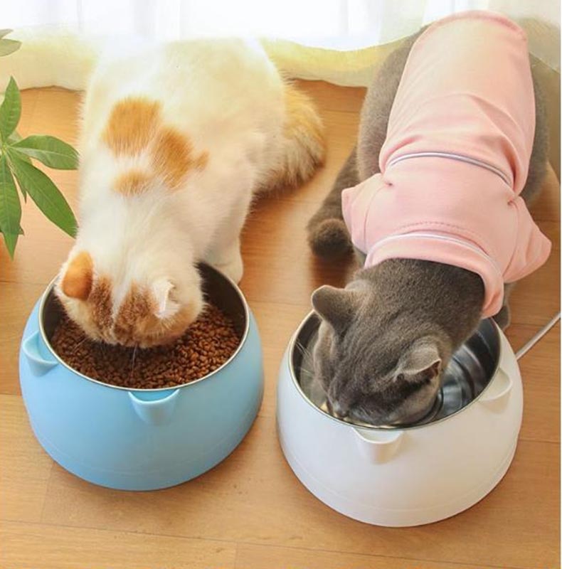 Non-Slip 15 Degrees Tilted Cat Bowl
