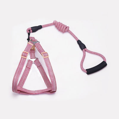 Adjustable Dog Leash and Stap Set