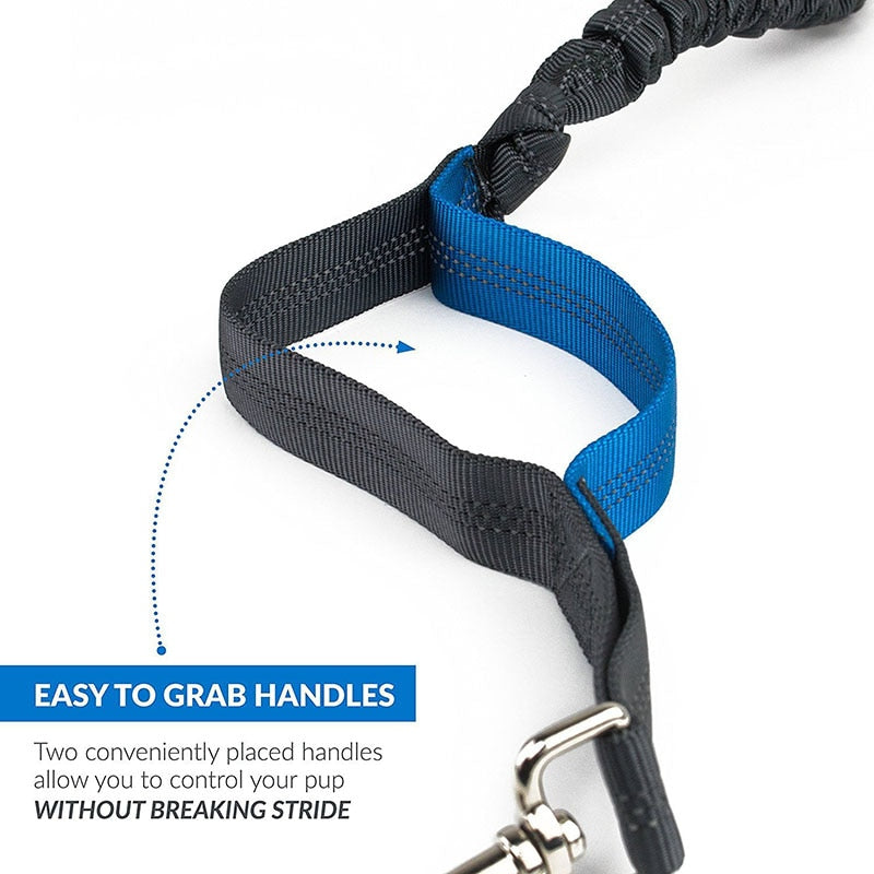 Hands Free Dog Running Belt