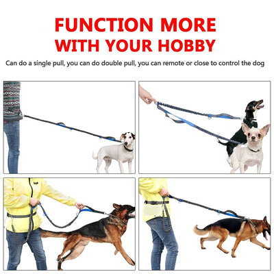 Hands Free Dog Running Belt