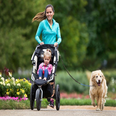 Hands Free Dog Running Belt