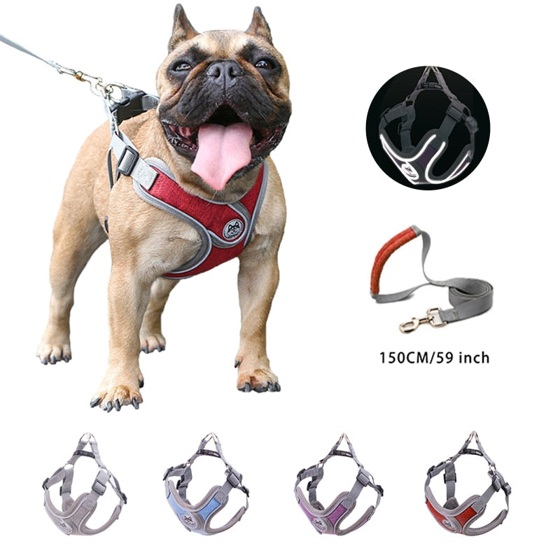 Reflective Pet Harness And Leash Set