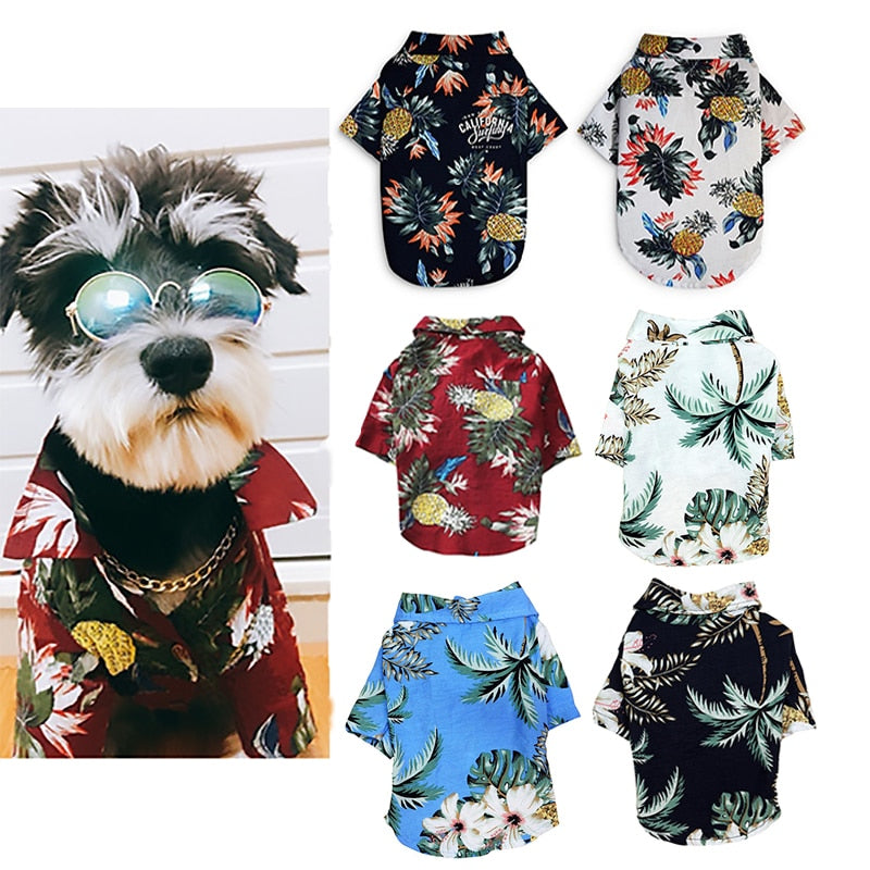 Dog  Summer Beach Clothes