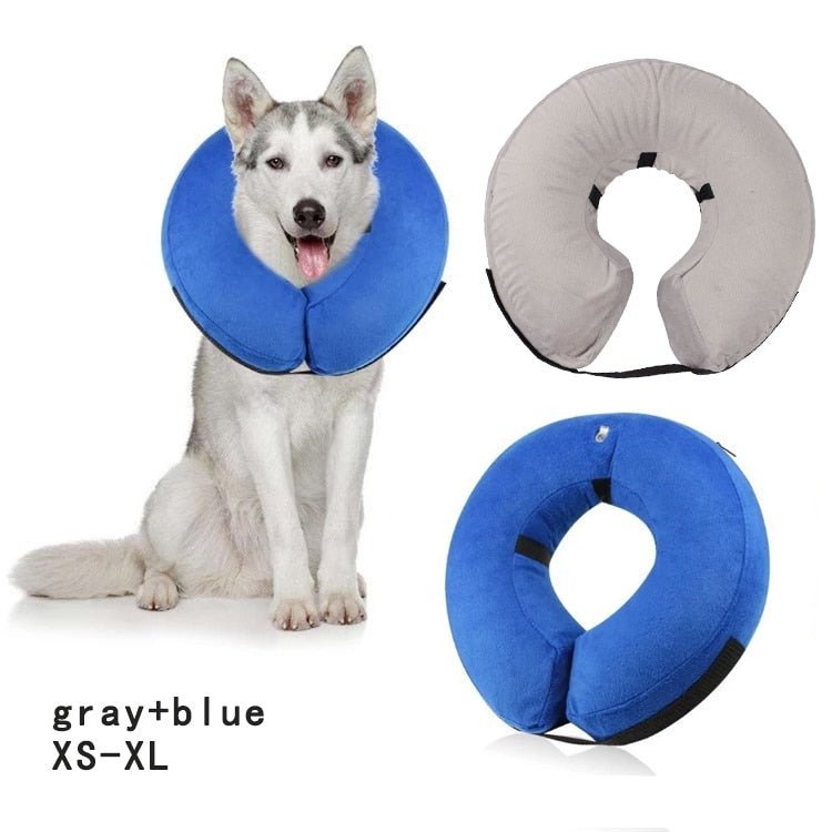 Inflatable Recovery Pet Collar