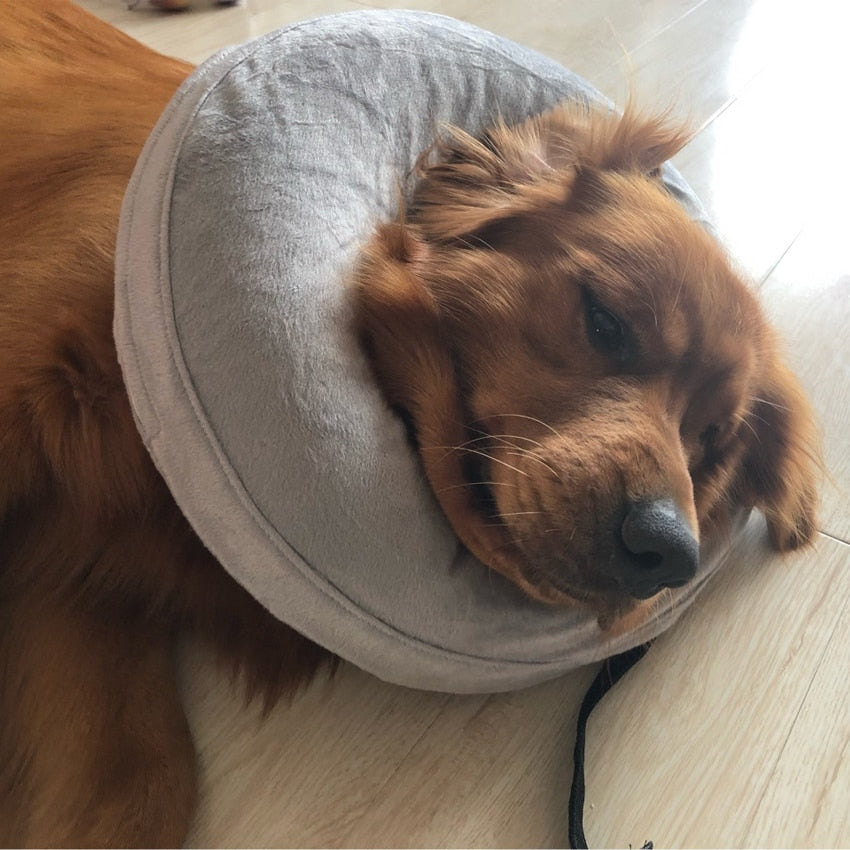 Inflatable Recovery Pet Collar