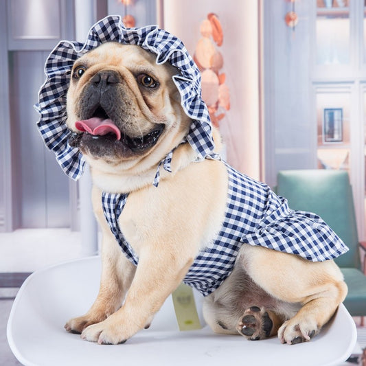Summer Gingham Dog Dress Set