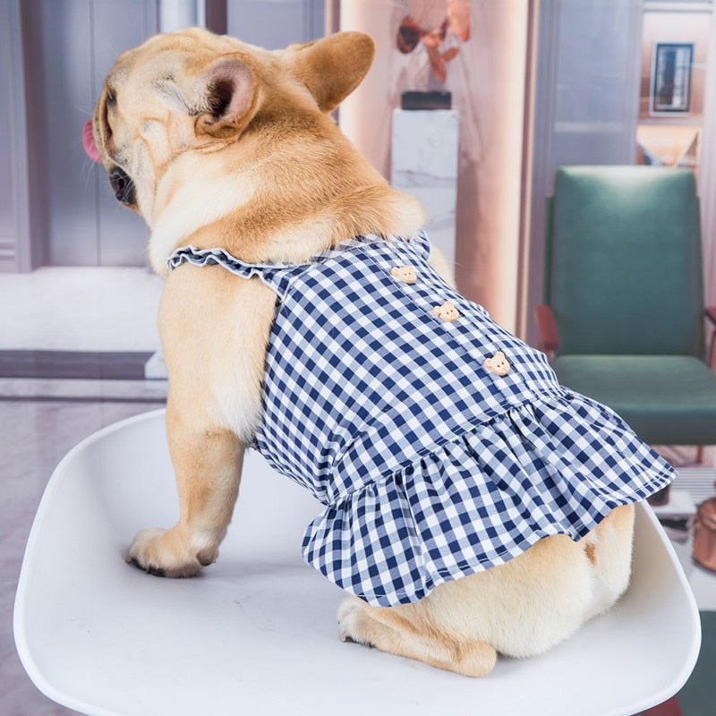Summer Gingham Dog Dress Set