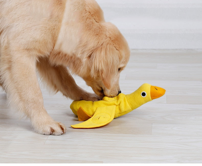 Duck Sniffing Pet Toy