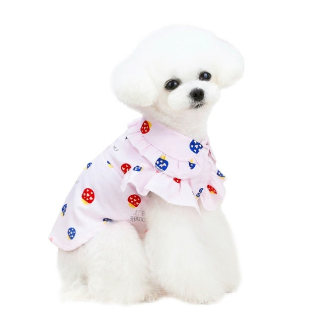 Summer Pet Polo Shirt