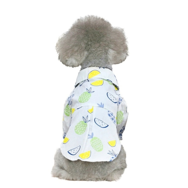 Summer Pet Polo Shirt