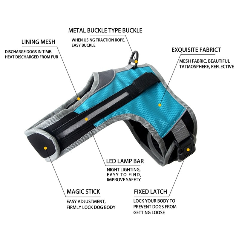 Dog and Cat LED Vest Collar