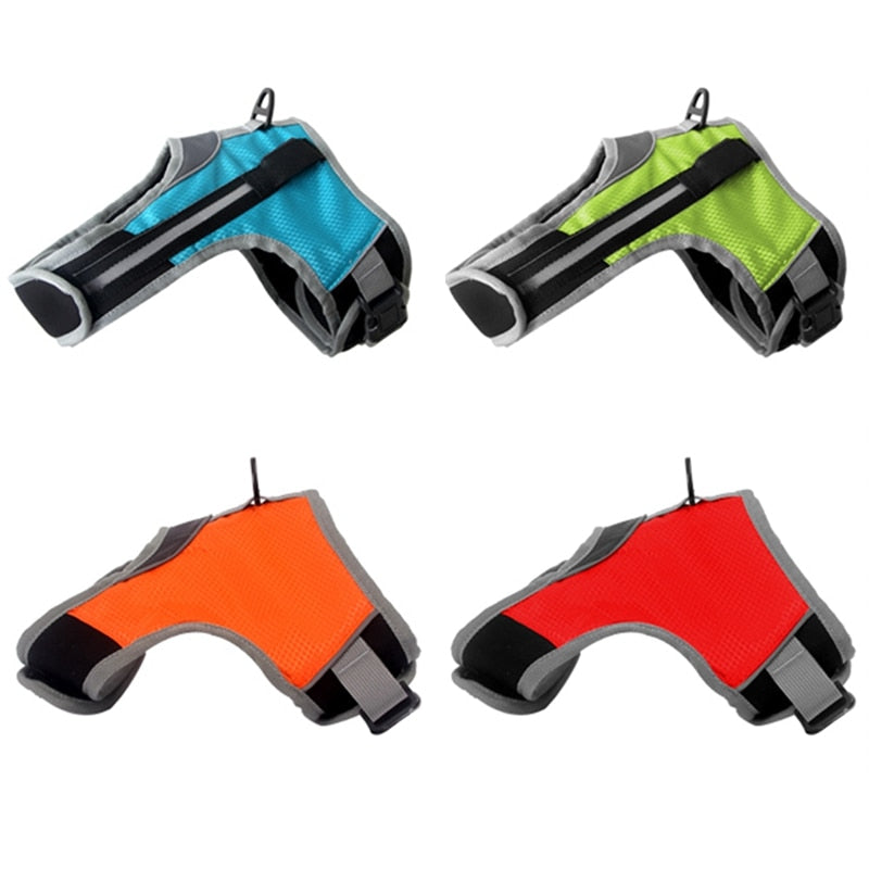 Dog and Cat LED Vest Collar