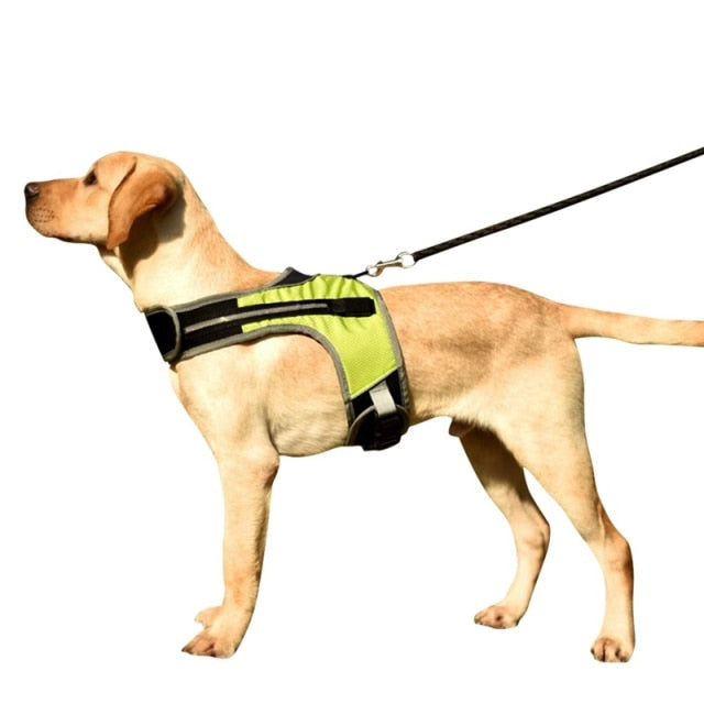 Dog and Cat LED Vest Collar
