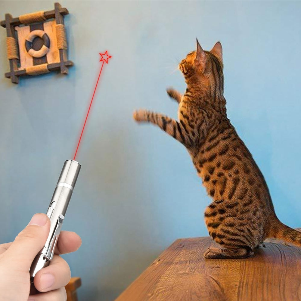 Interactive Laser Pen Pet Toys USB Rechargeable