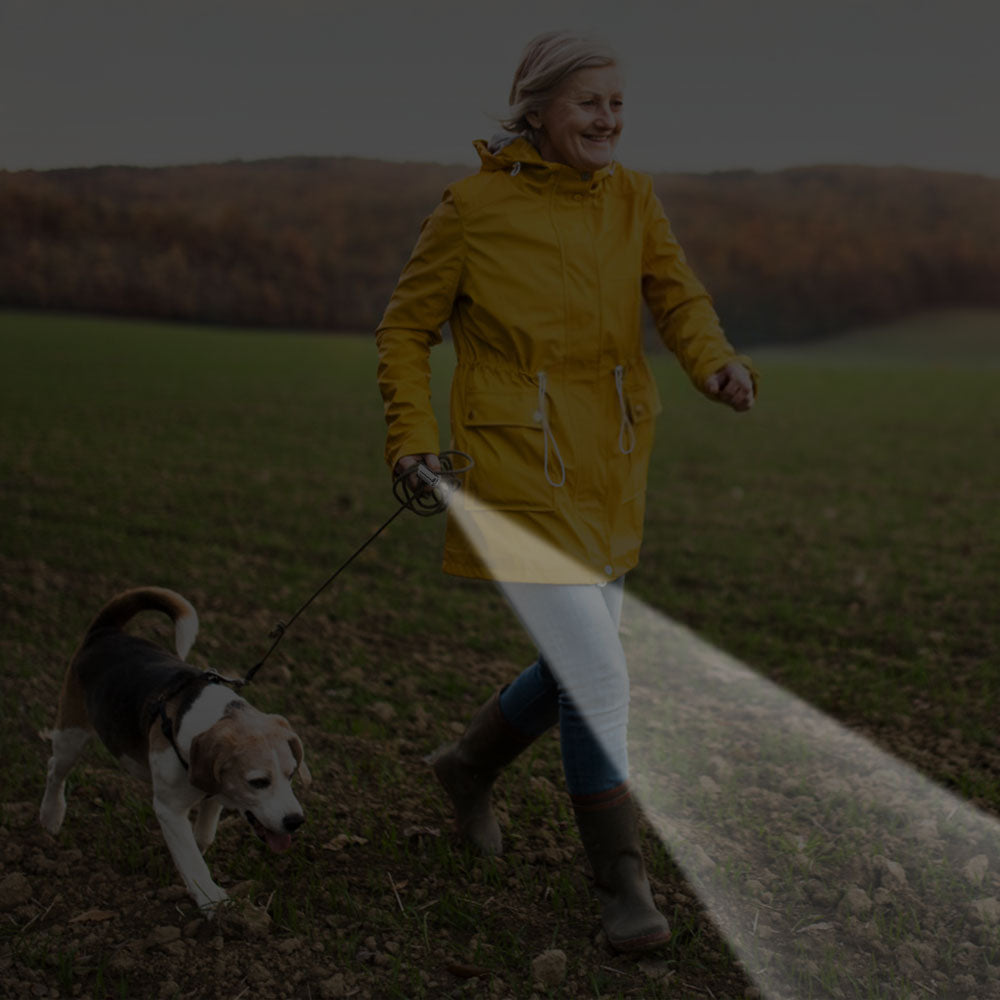 Interactive Laser Pen Pet Toys USB Rechargeable