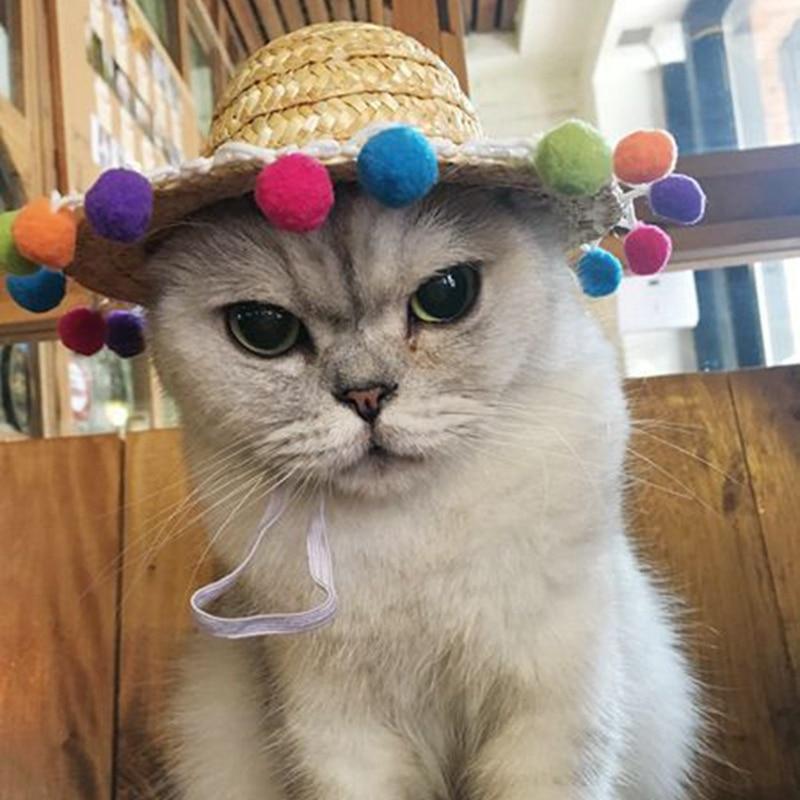 Fashionable Pet Hat