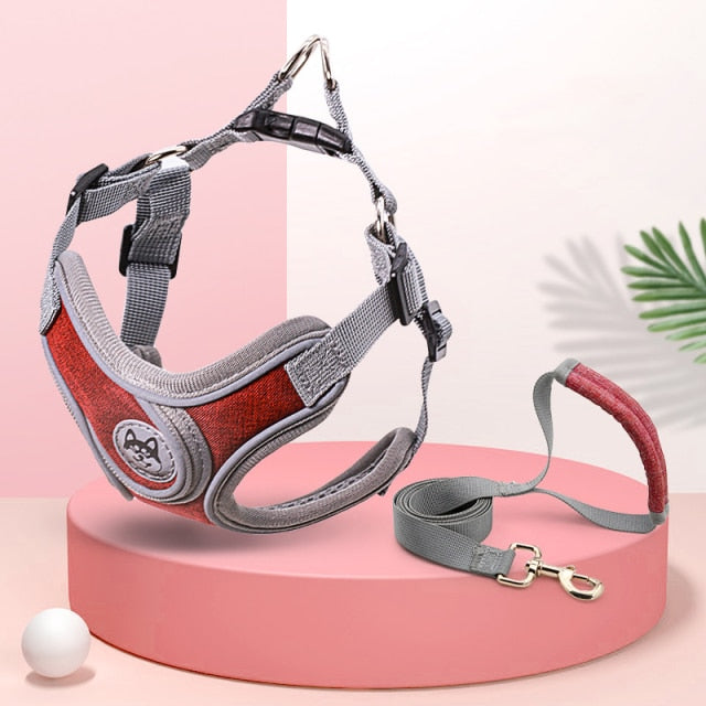 Reflective Pet Harness And Leash Set