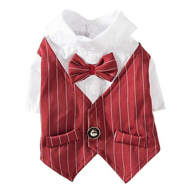 Pinstripe Suit Vest Set