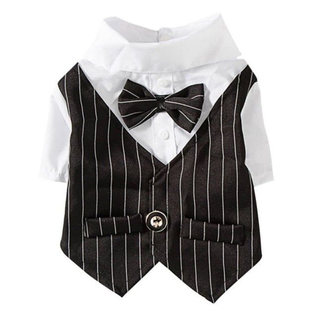 Pinstripe Suit Vest Set