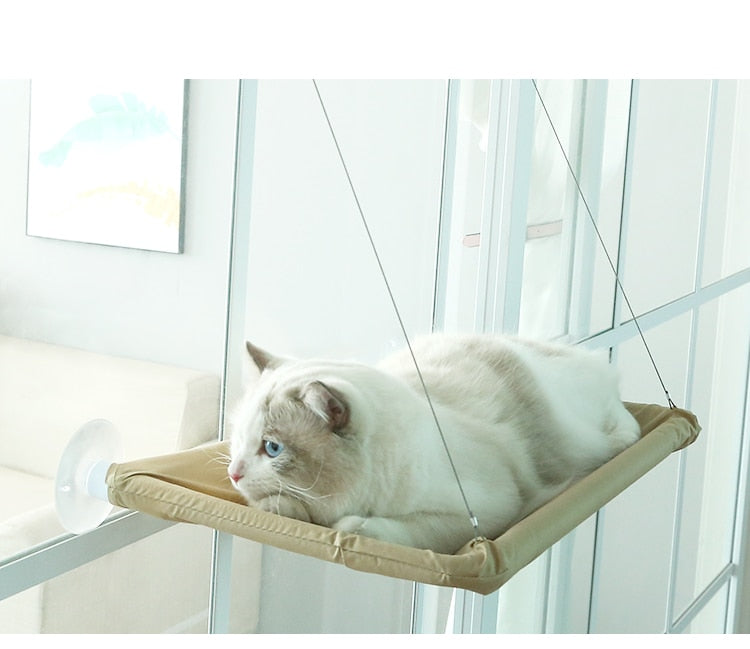 Window Hanging Bed for Cats
