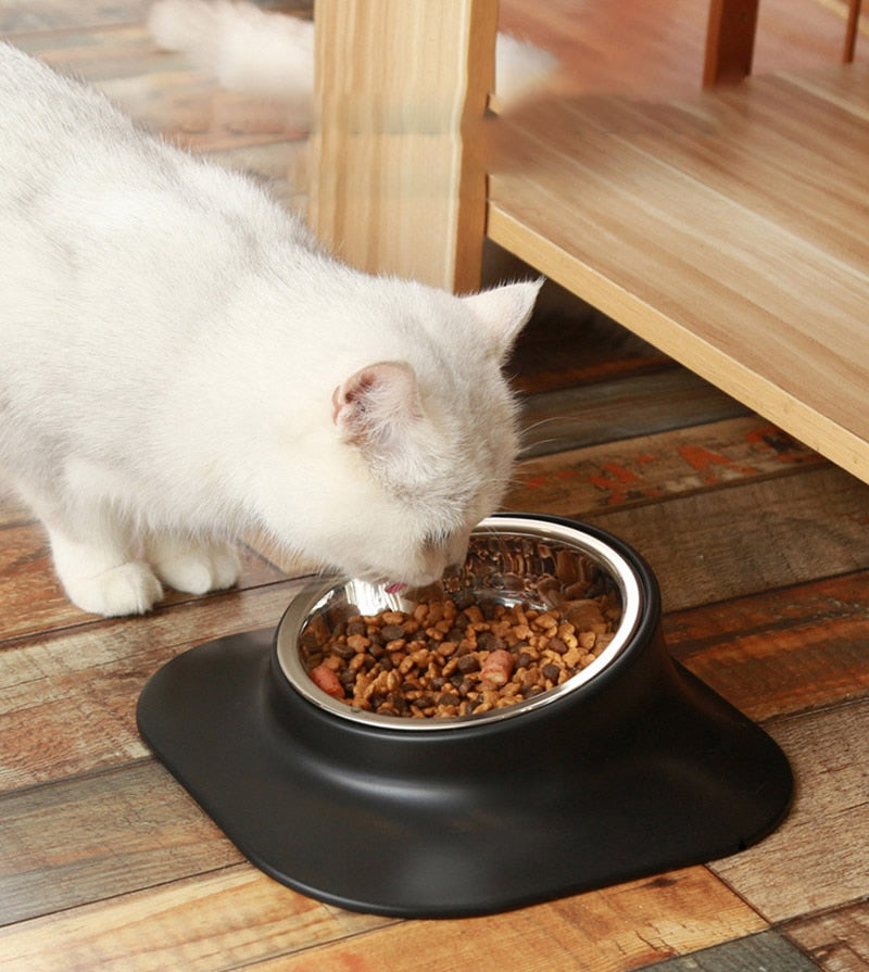Anti-slip Stainless Feeding Bowl