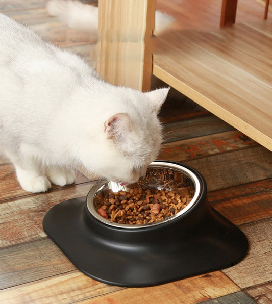 Anti-slip Stainless Feeding Bowl
