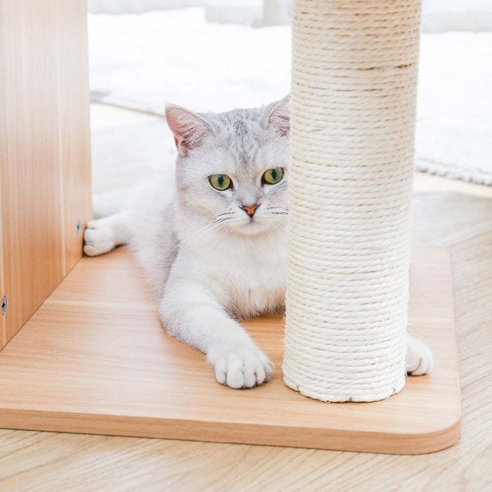 Cat Jumping Toy with Ladder Scratching Post