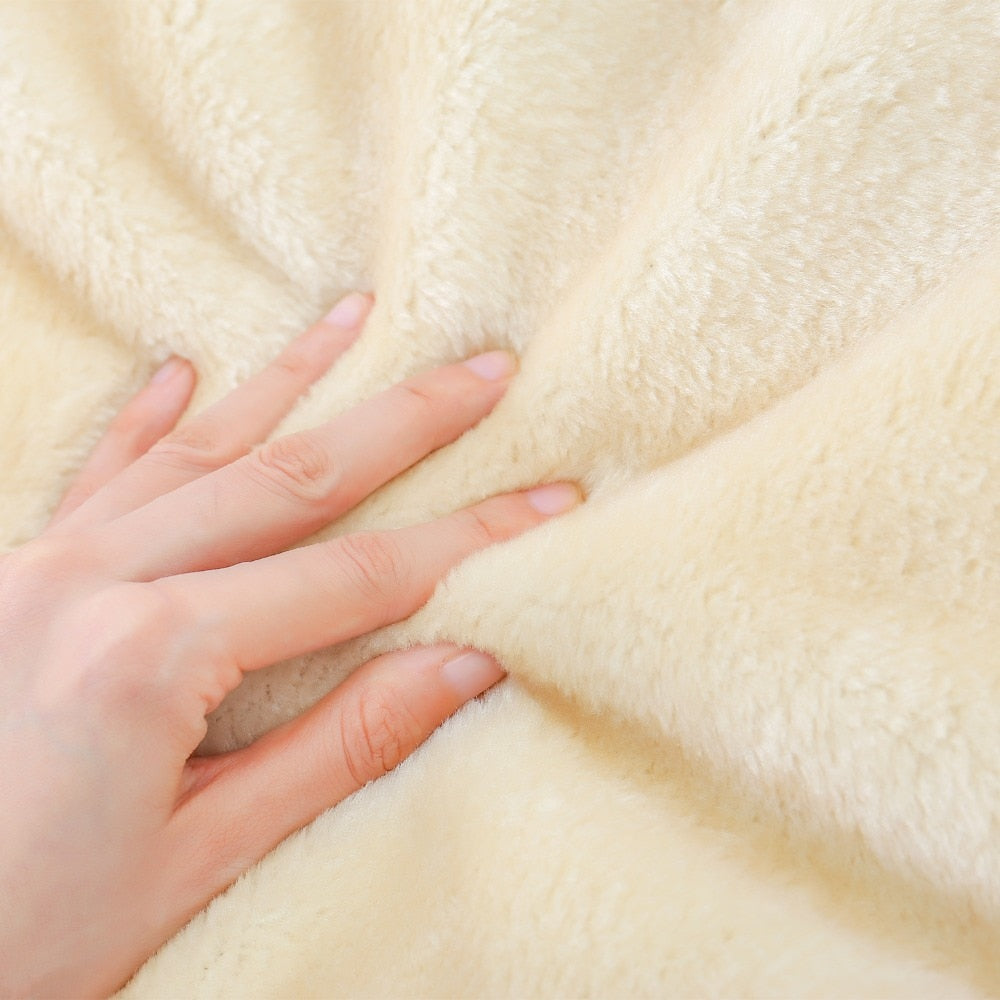 Cat Jumping Toy with Ladder Scratching Post