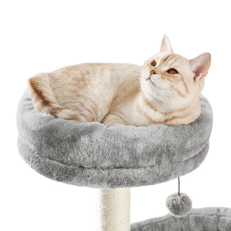 Cat Jumping Toy with Ladder Scratching Post