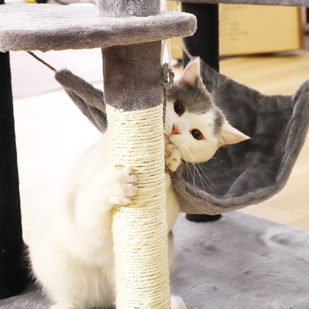 Cat Jumping Toy with Ladder Scratching Post
