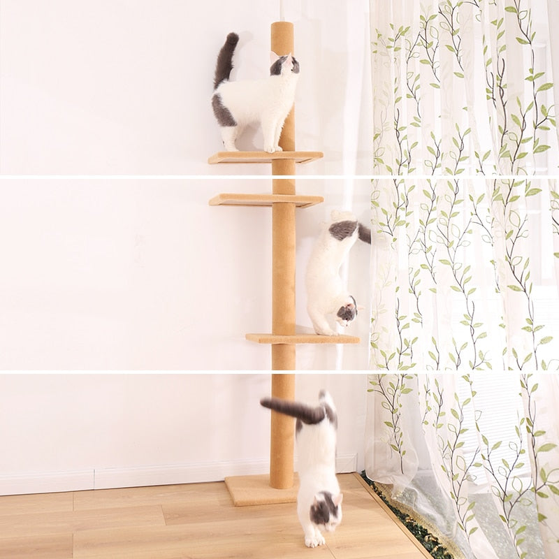 Cat Jumping Toy with Ladder Scratching Post