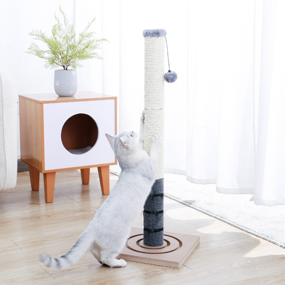 Cat Jumping Toy with Ladder Scratching Post