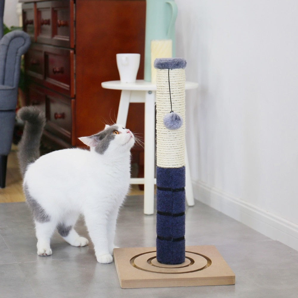 Cat Jumping Toy with Ladder Scratching Post