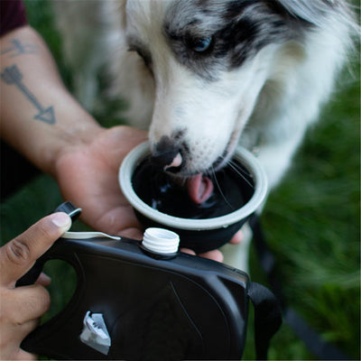 Dog Leash With Collapsible Water Bowl