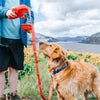 Dog Leash With Collapsible Water Bowl