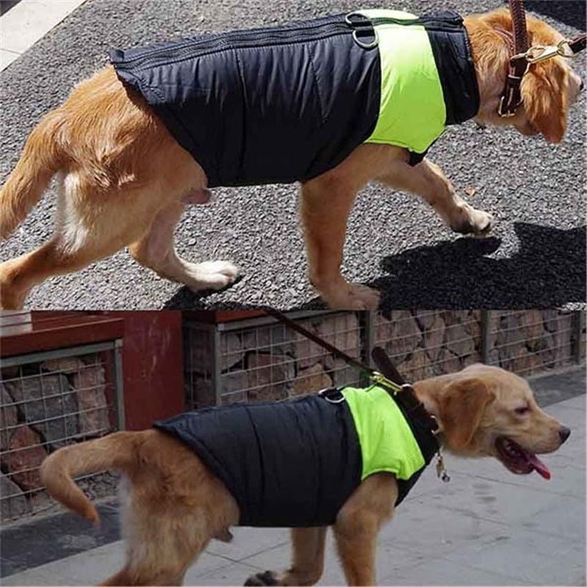 Windproof Winter Vest