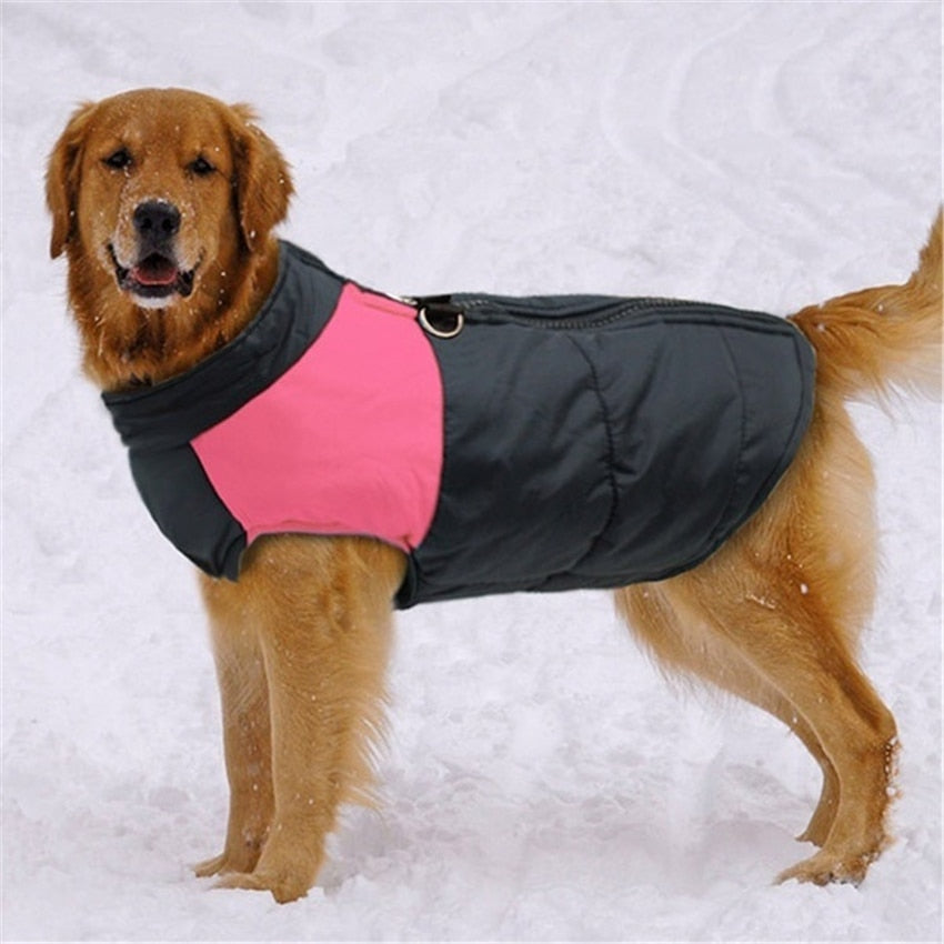 Windproof Winter Vest