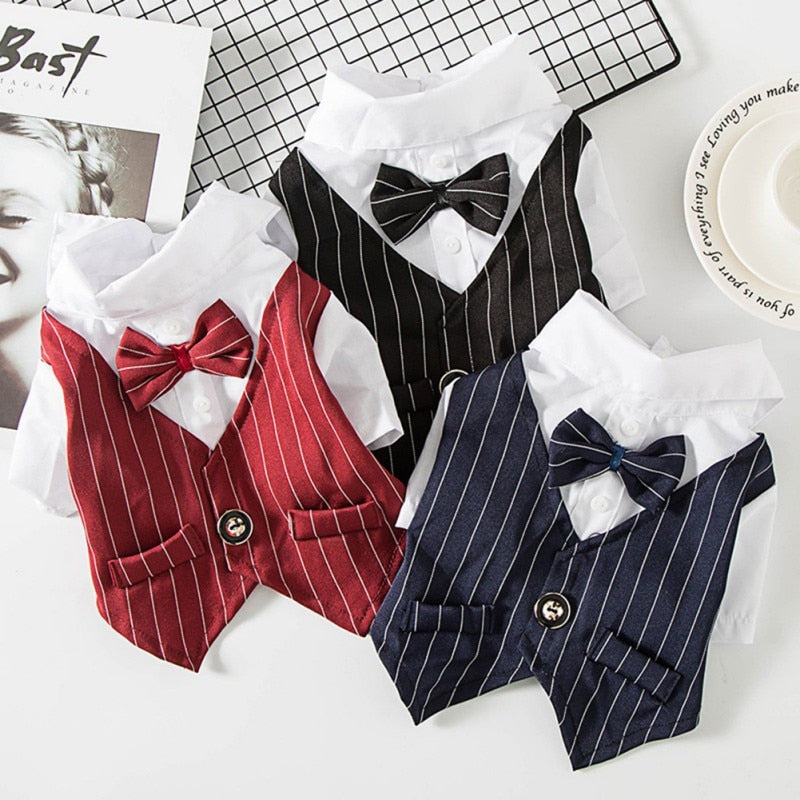 Pinstripe Suit Vest Set