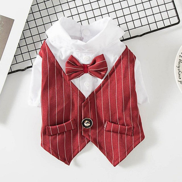 Pinstripe Suit Vest Set