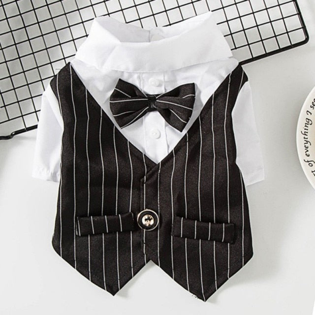 Pinstripe Suit Vest Set