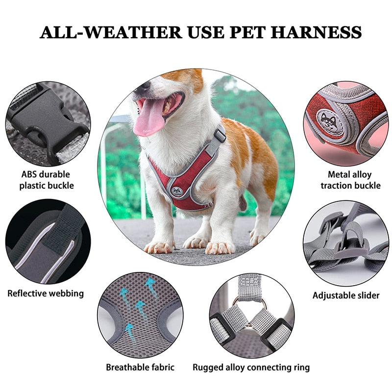 Reflective Pet Harness And Leash Set