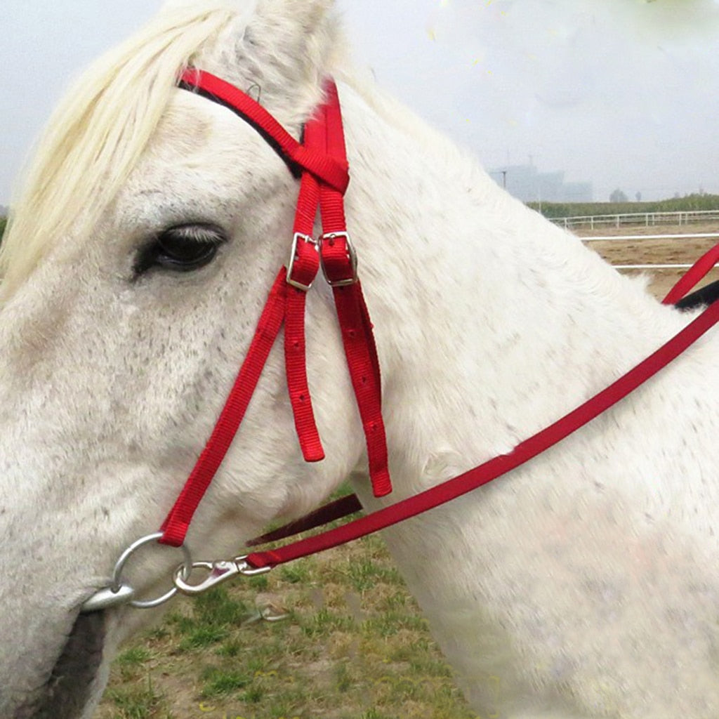 Nylon Horse Bridle