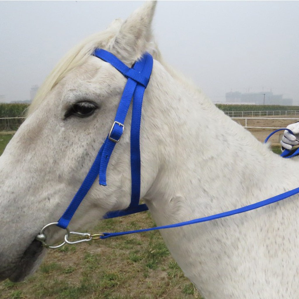Nylon Horse Bridle