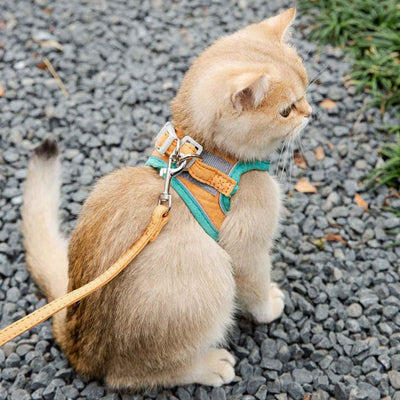 Cat Harness & Leash Set